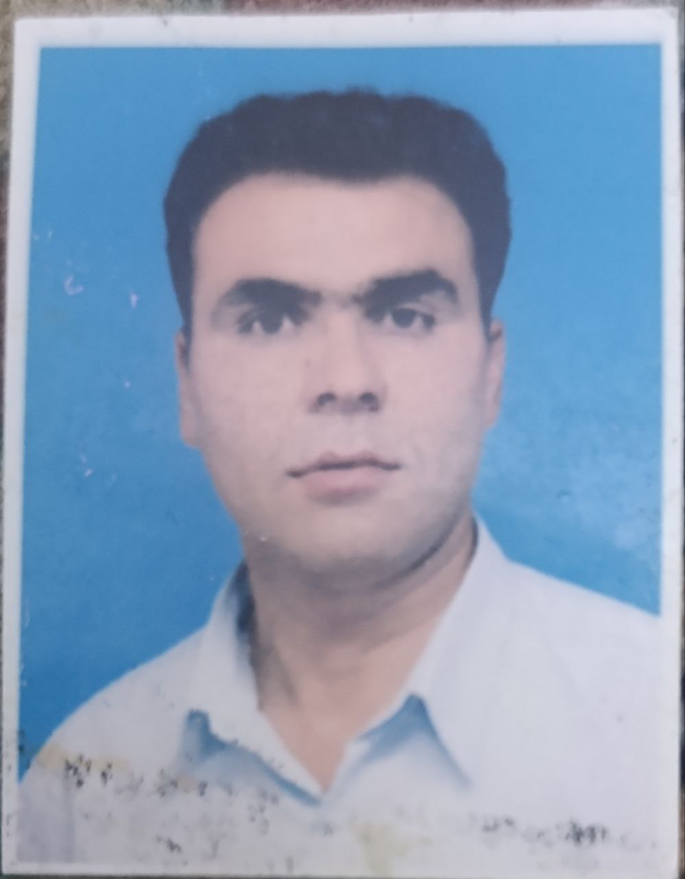 منصور شفیع زاده