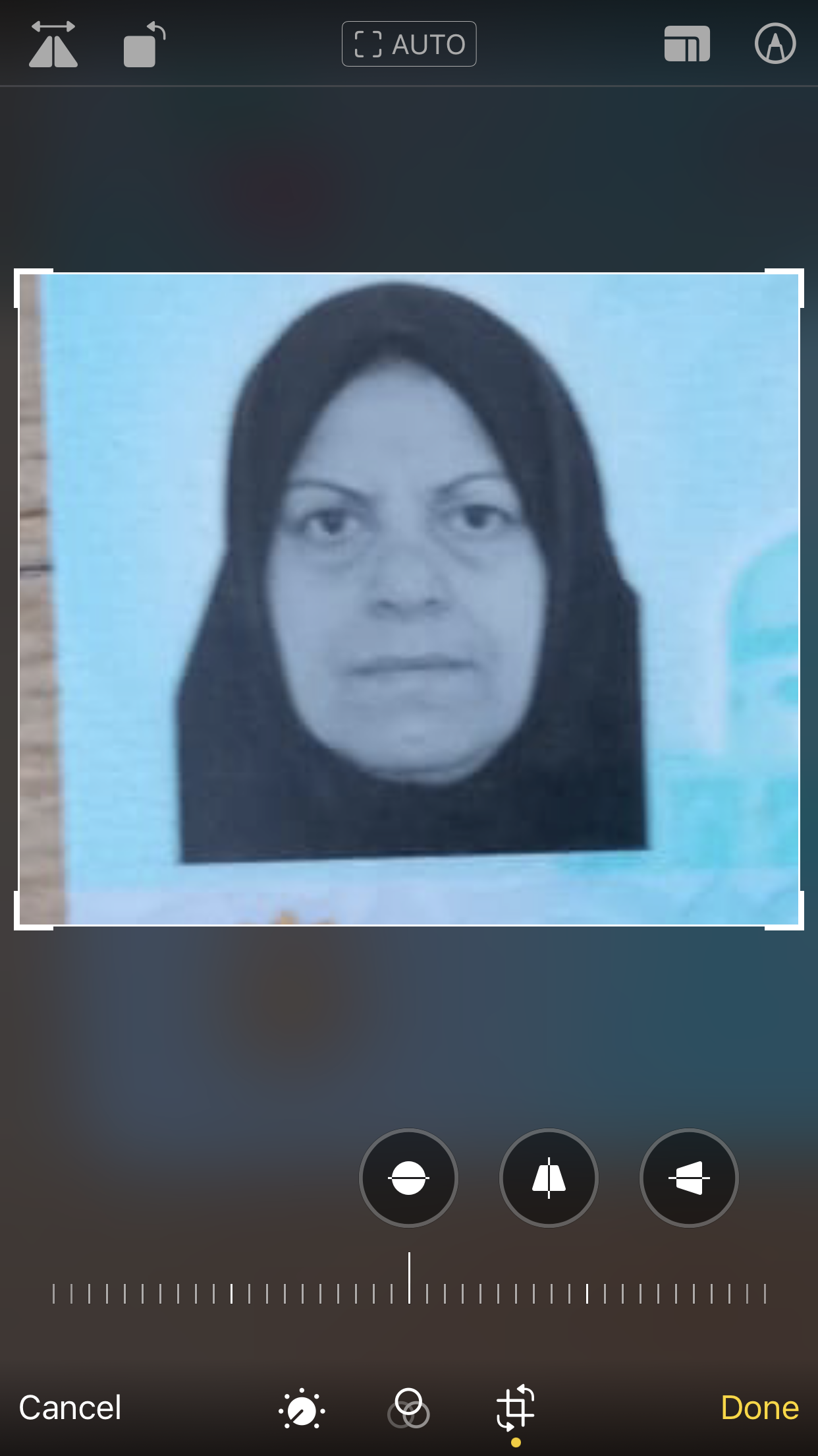 مهناز صالح نژاد