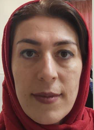 پریسا رحمانی نمین