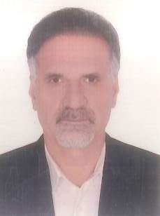 علی شهرکی